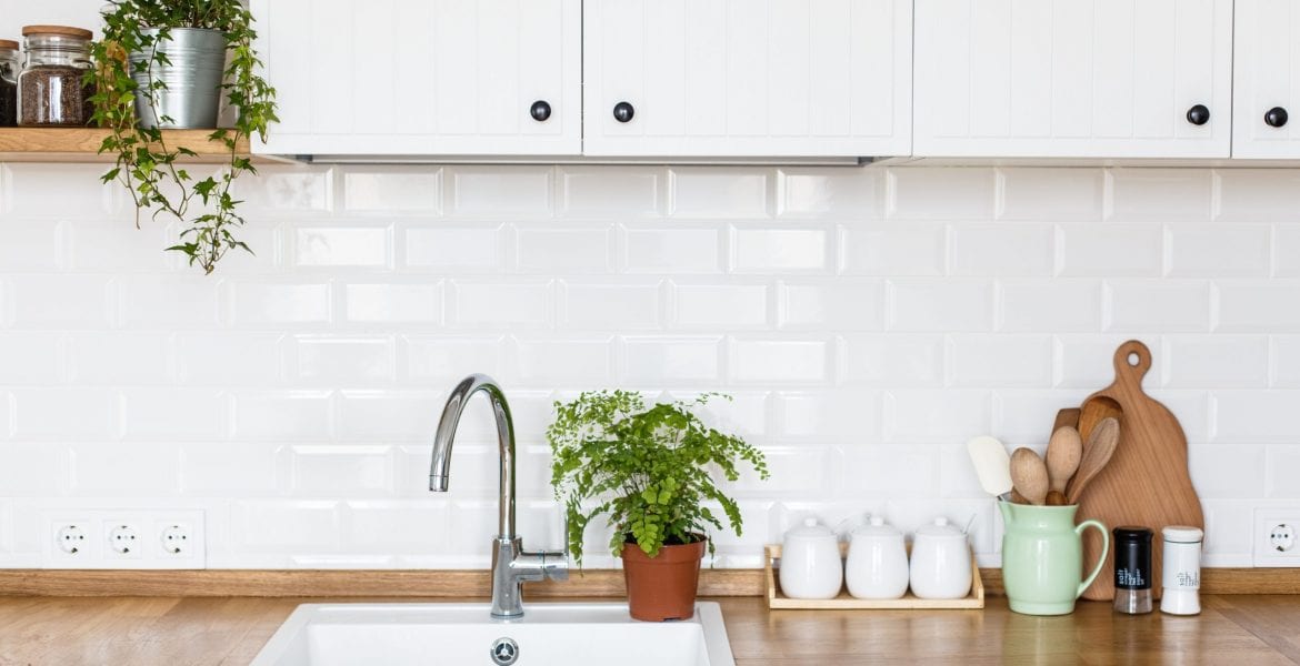 Low-Care Indoor Plants You’ll Love