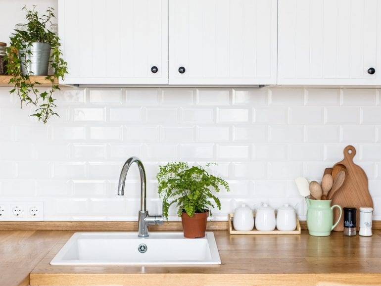 Low-Care Indoor Plants You’ll Love